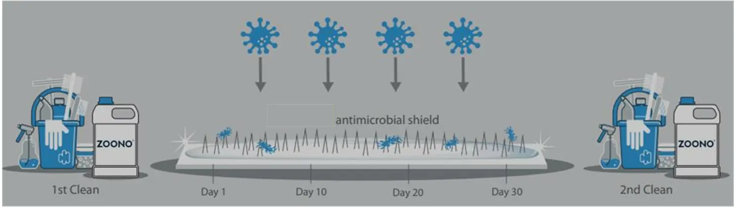 Zoonex cleaning timeline