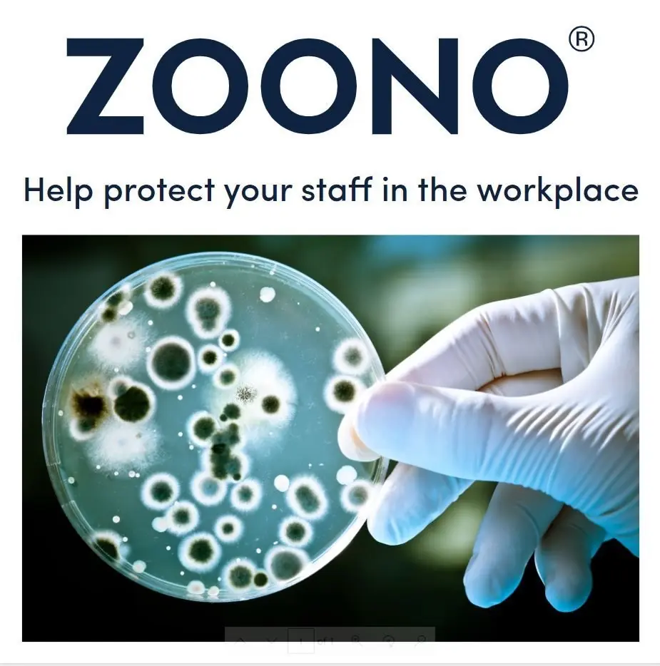 Bacteria growth comparison